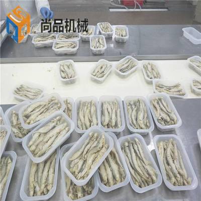 海產品加工高效解決方案 巴沙魚滾筒上粉機、帶魚段連續式油炸機及小刀魚裹粉油炸成套設備