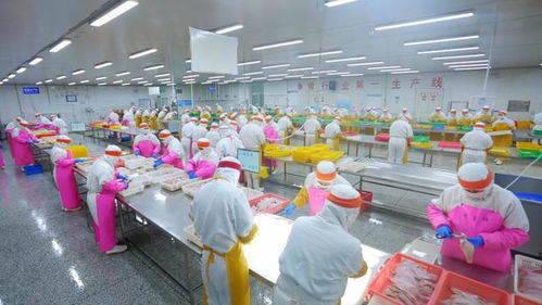 好品山東穿越疫情 中國最大海產品加工外貿企業的“九條命”銷售之道