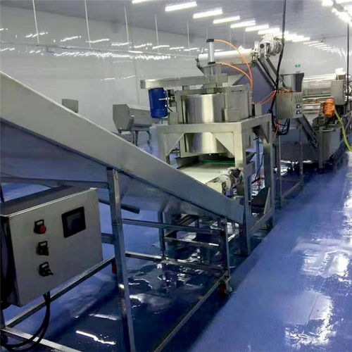 海產品氣泡翻滾式清洗機廠家多重優惠，品質保障，長期有效