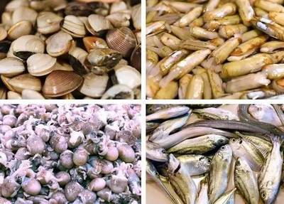 食品安全警鐘 遂溪海產(chǎn)品加工事件反思與行業(yè)規(guī)范重建