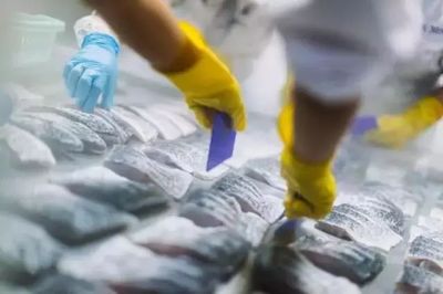 熟凍海鮮不如新鮮的好？真正頂級的鮮味，選對保藏方式才是王道